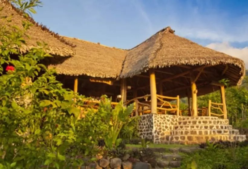 هتل Totoco Eco Resort
