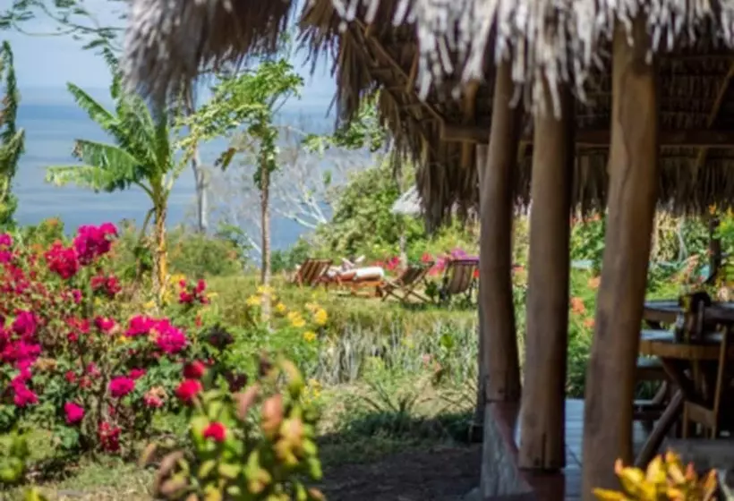 هتل Totoco Eco Resort