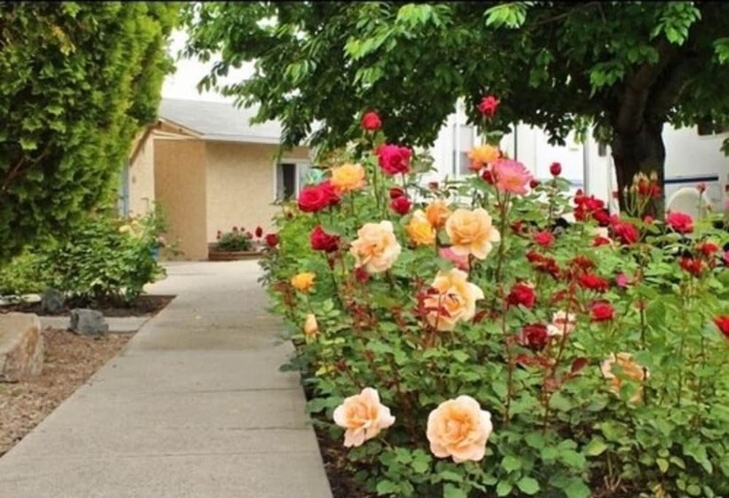 Maple Leaf Motel & Rv Resort