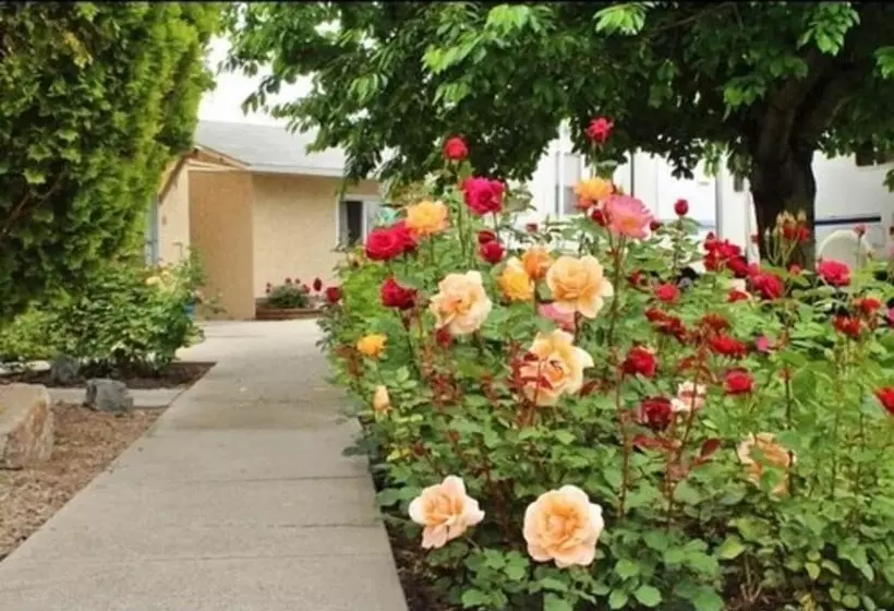 Maple Leaf Motel & Rv Resort