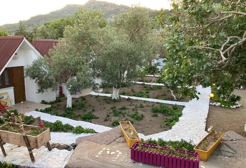 Memo's Garden Butik Otel