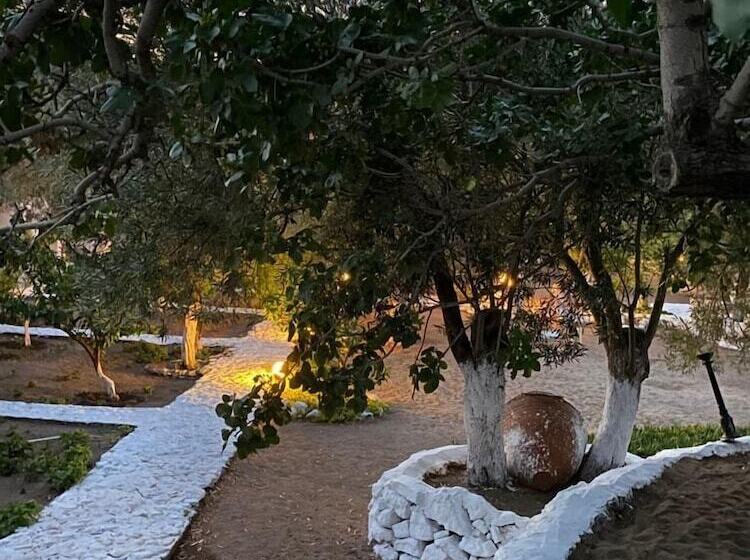 Memo's Garden Butik Otel