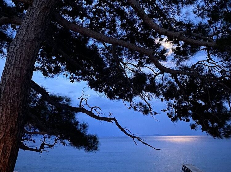 Memo's Garden Butik Otel