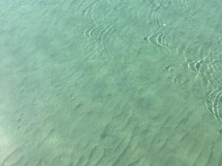 Memo's Garden Butik Otel