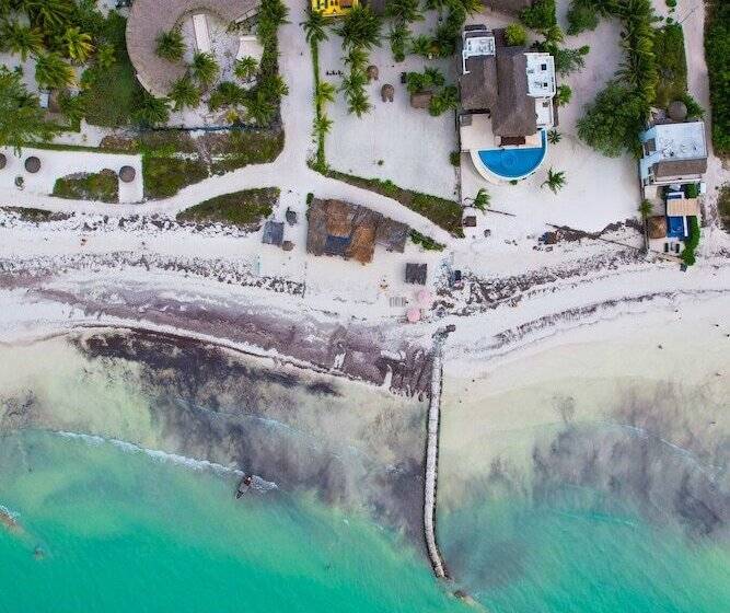 Pension Casa Luz Beach Front Holbox