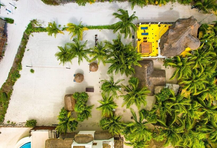 Pension Casa Luz Beach Front Holbox