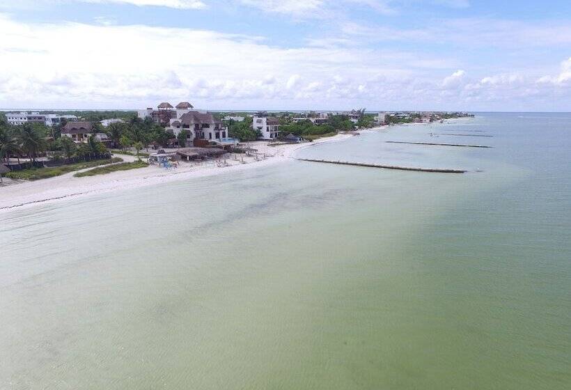 Pension Casa Luz Beach Front Holbox