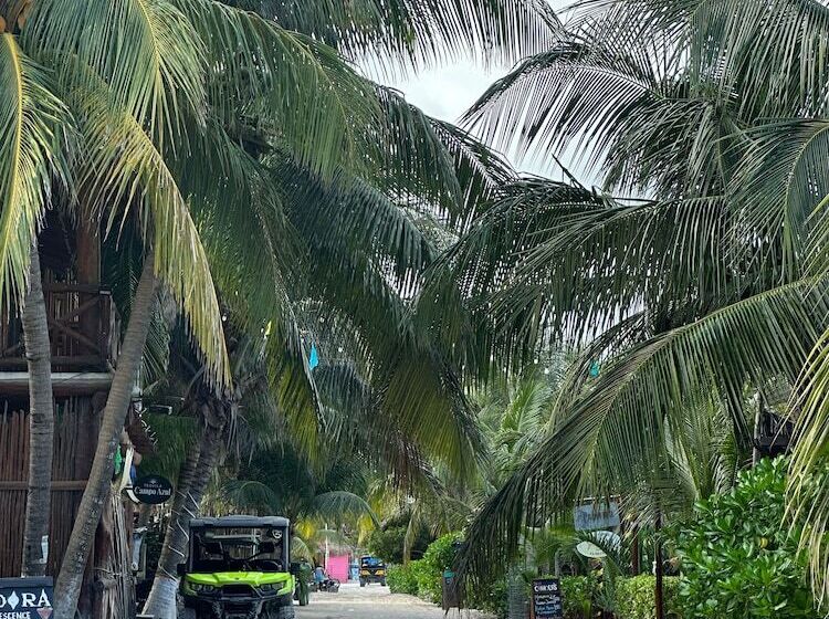 Pension Casa Luz Beach Front Holbox