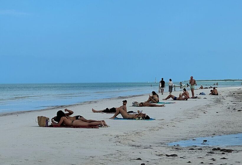 Pension Casa Luz Beach Front Holbox