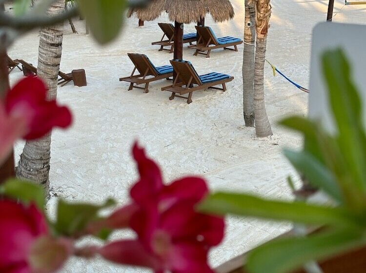 Pension Casa Luz Beach Front Holbox