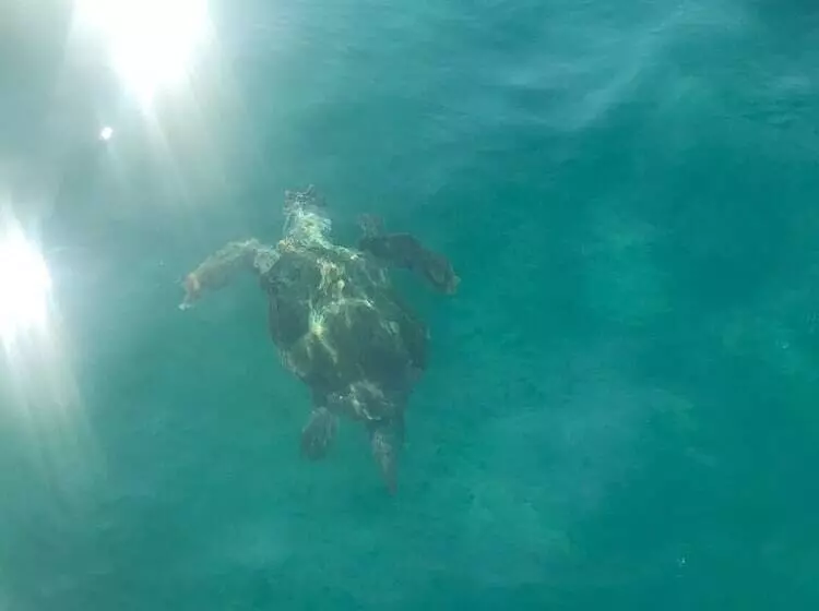 Majatalo Villa Miranda