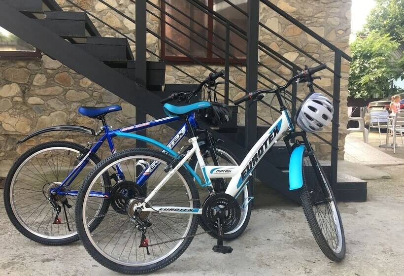 פנסיון Villa Vishnevaya