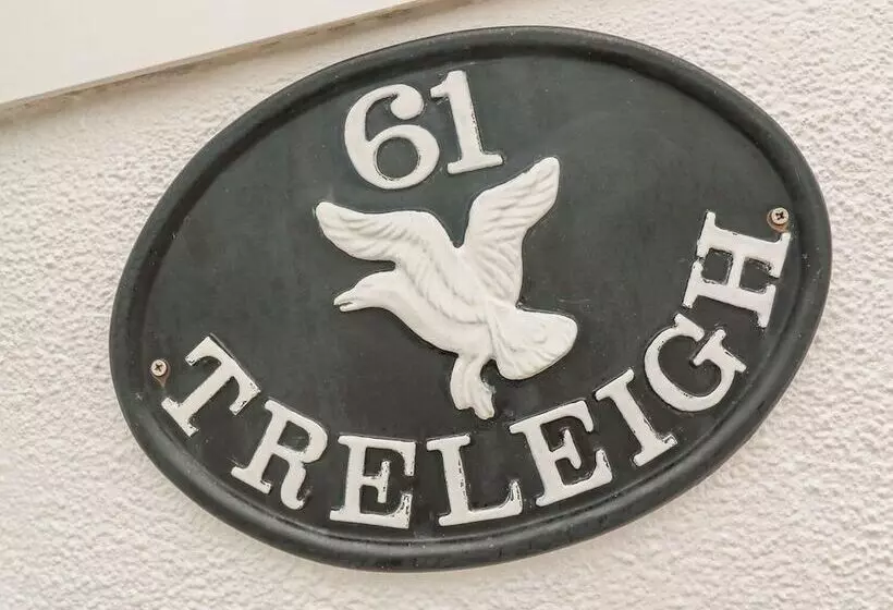 Treleigh
