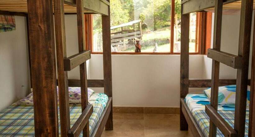 Hostal Apapachoa   Hostel