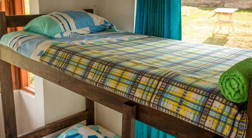 Hostal Apapachoa   Hostel