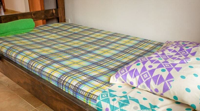 Hostal Apapachoa   Hostel