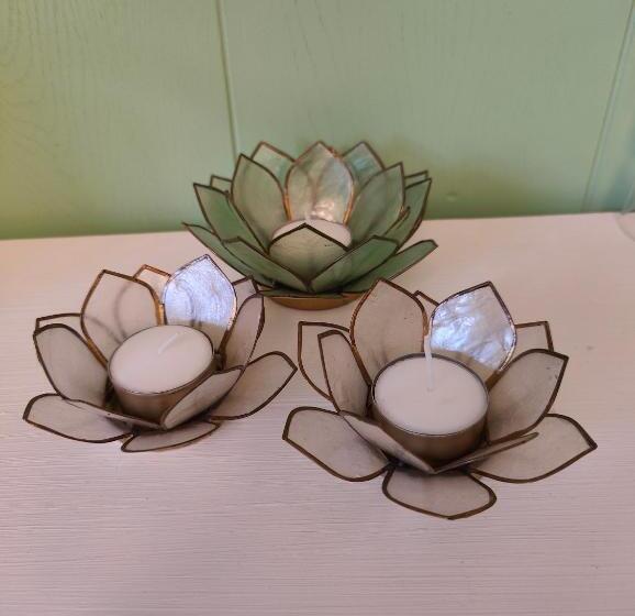 مبيت وإفطار Pension Skovly