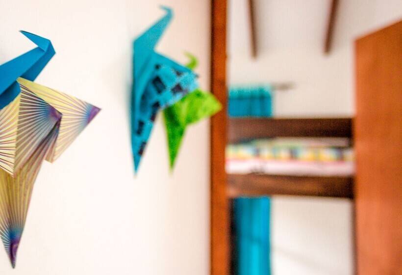 Hostal Apapachoa   Hostel