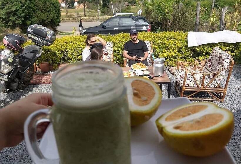 Hostal Apapachoa   Hostel