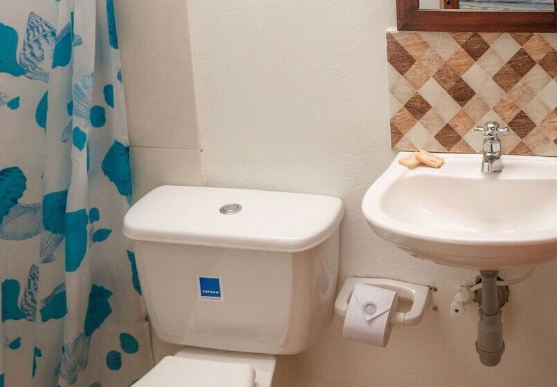 Hostal Apapachoa   Hostel