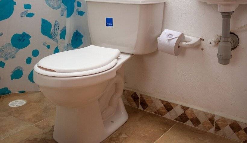 Hostal Apapachoa   Hostel