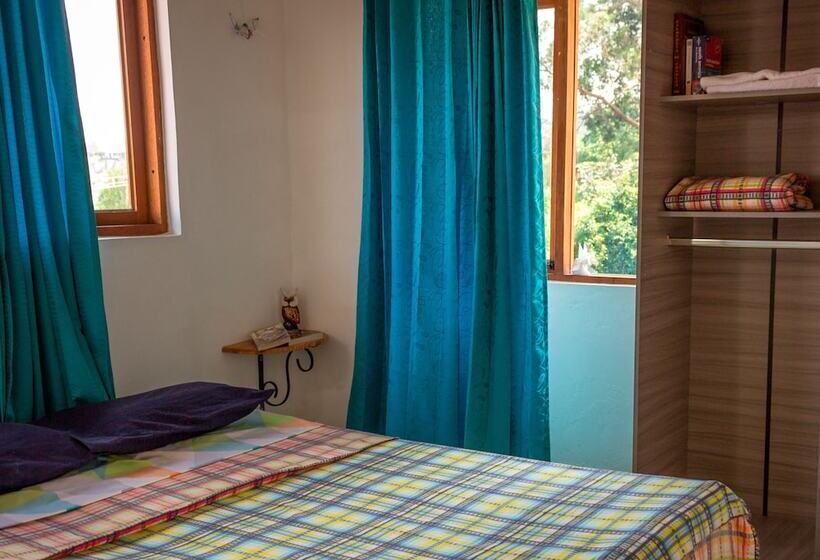 Hostal Apapachoa   Hostel