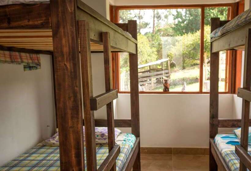 Hostal Apapachoa   Hostel