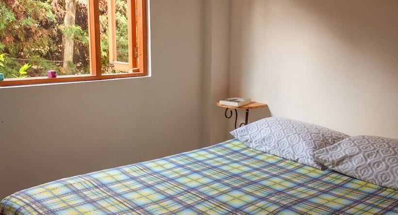 Hostal Apapachoa   Hostel