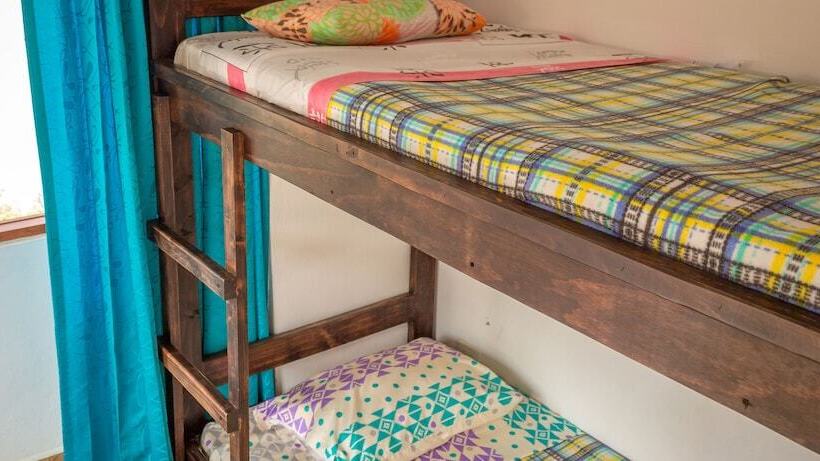 Hostal Apapachoa   Hostel