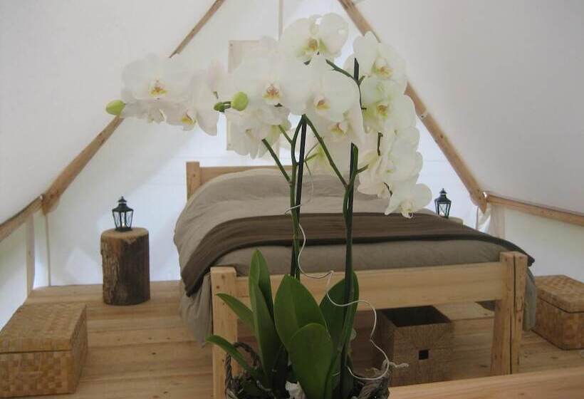 Отель Altipik   Lodges Insolites