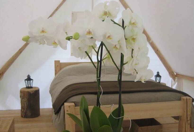 Отель Altipik   Lodges Insolites