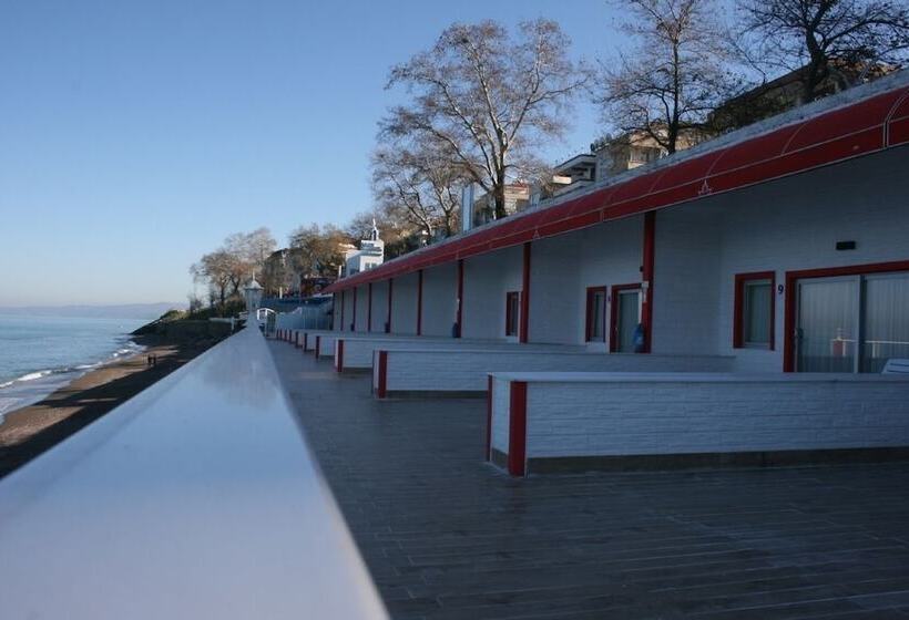 ホテル Beyaz Cinar Butik