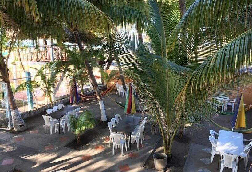 هتل Cucolindo Surf