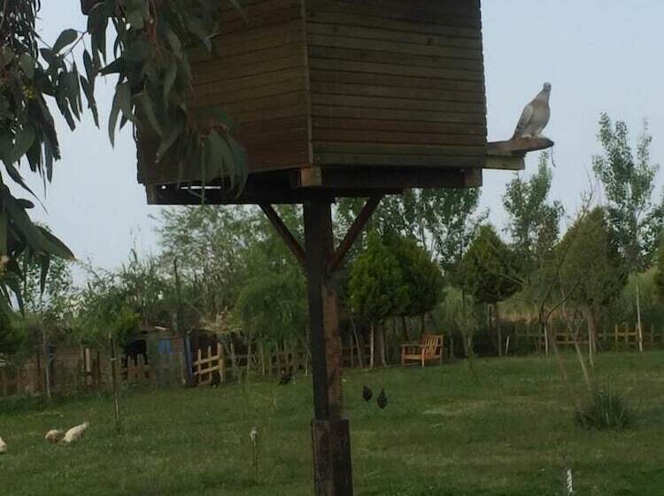 Отель Deniz Kizi