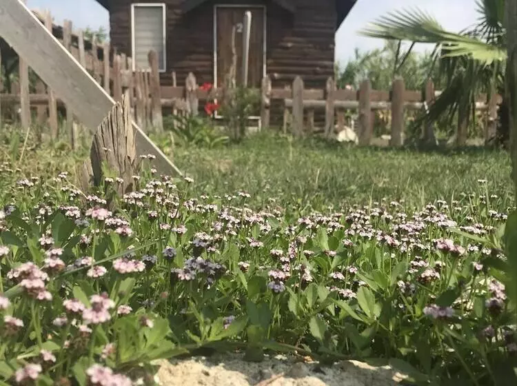 هتل Deniz Tesisleri