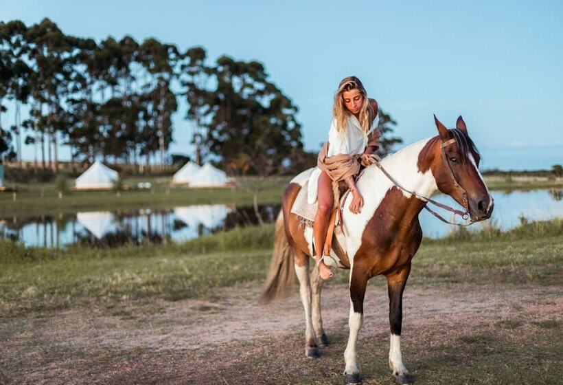 Hotel Folk Glamp Tents