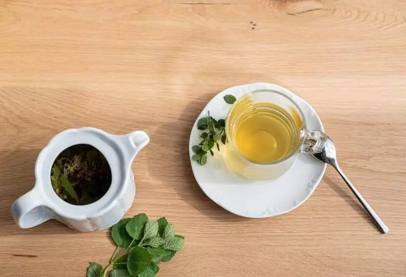 Hotelli Lichtenstern