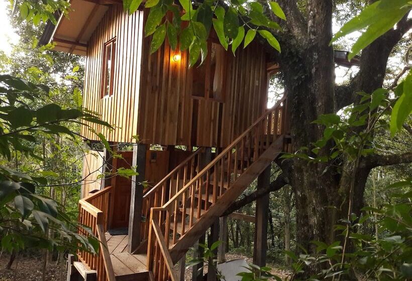 Hotel Mount Totumas Cloud Forest