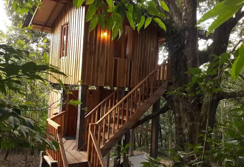 ホテル Mount Totumas Cloud Forest