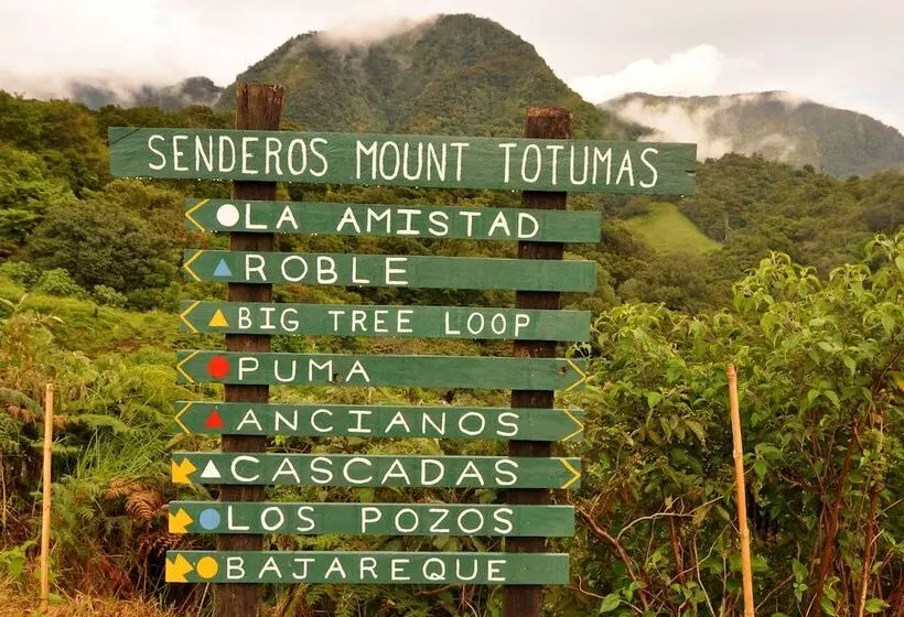 ホテル Mount Totumas Cloud Forest