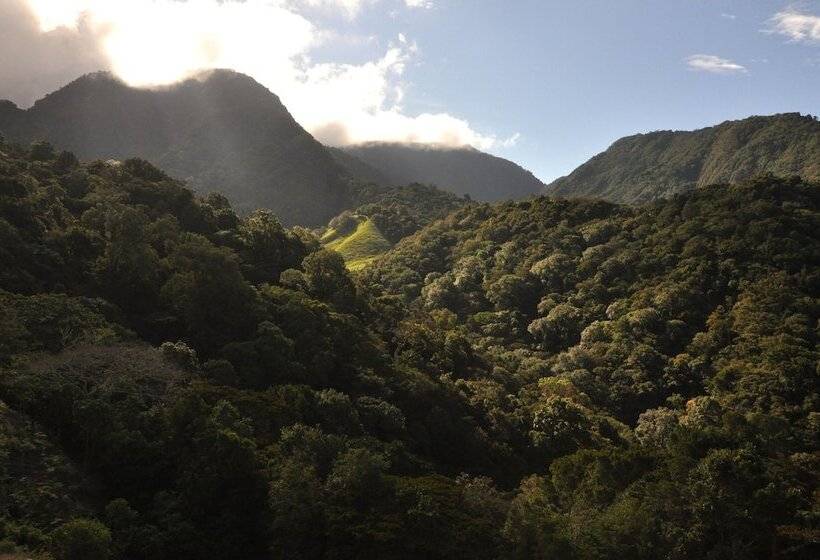 Hotel Mount Totumas Cloud Forest