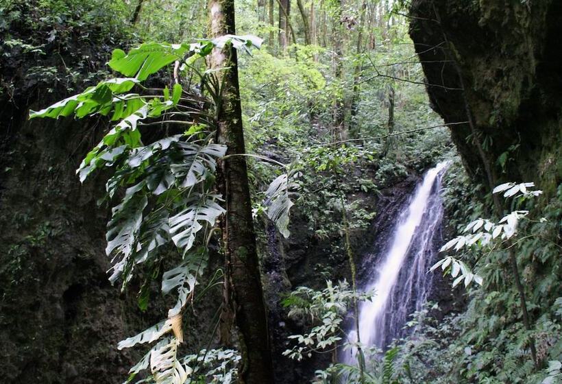 Hotel Mount Totumas Cloud Forest