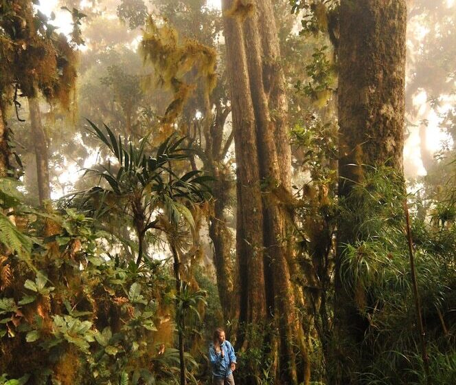 Hotel Mount Totumas Cloud Forest
