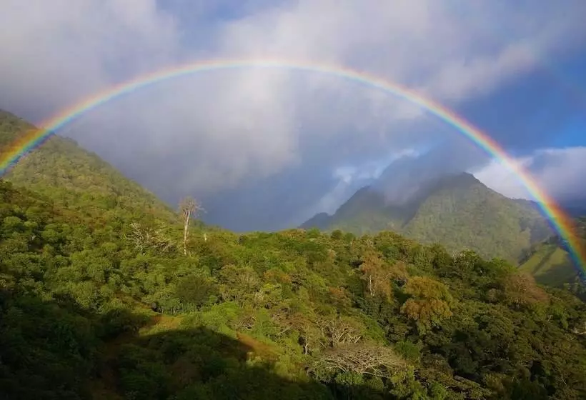 ホテル Mount Totumas Cloud Forest