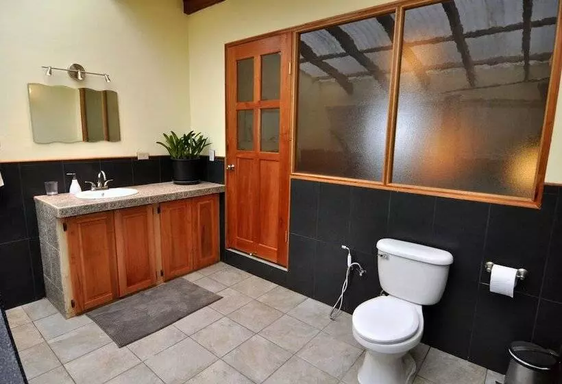 ホテル Mount Totumas Cloud Forest