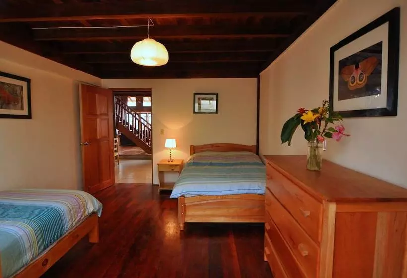 ホテル Mount Totumas Cloud Forest