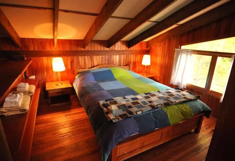 ホテル Mount Totumas Cloud Forest