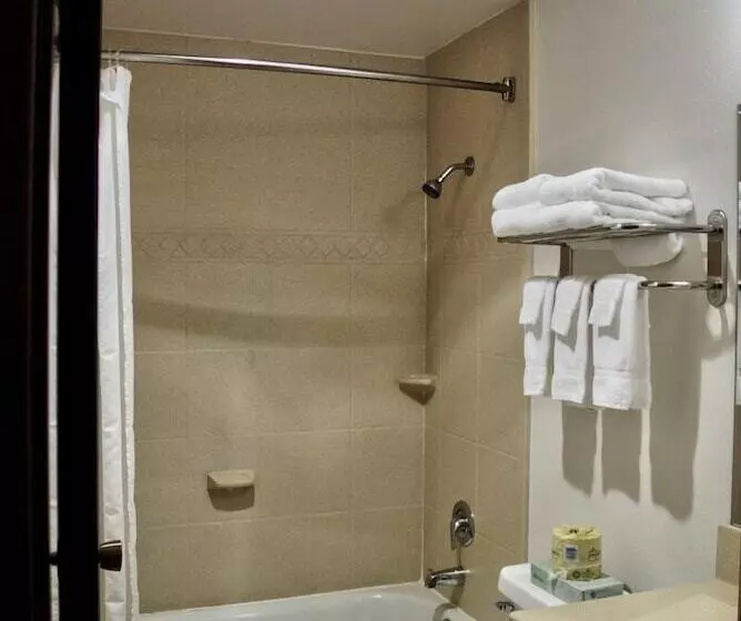 Hotelli Olympic Suites Inn