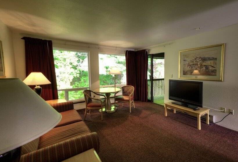 酒店 Olympic Suites Inn