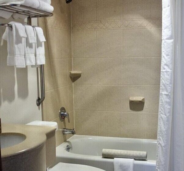 酒店 Olympic Suites Inn